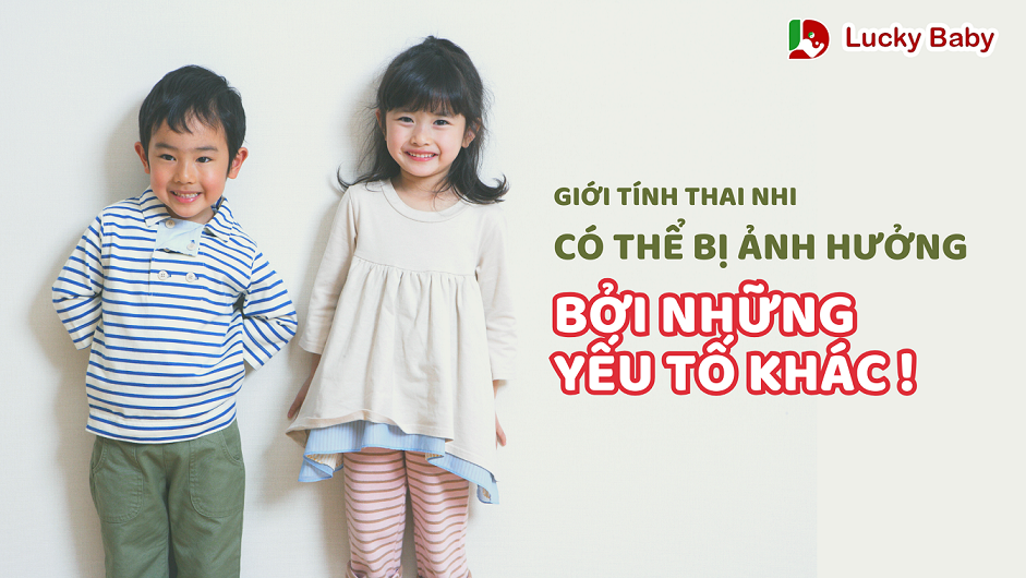 giới tính thai nhi phụ thuộc vào những yếu tố khác