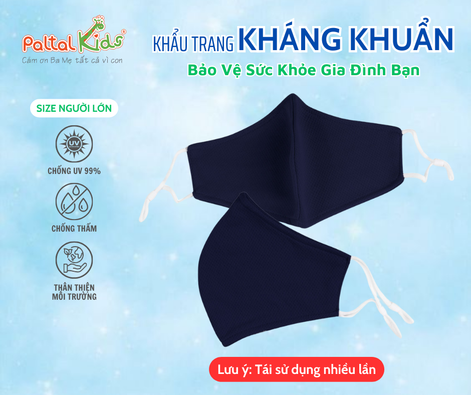 Combo 2 Cái Khẩu Trang Cao Cấp - 310 0104