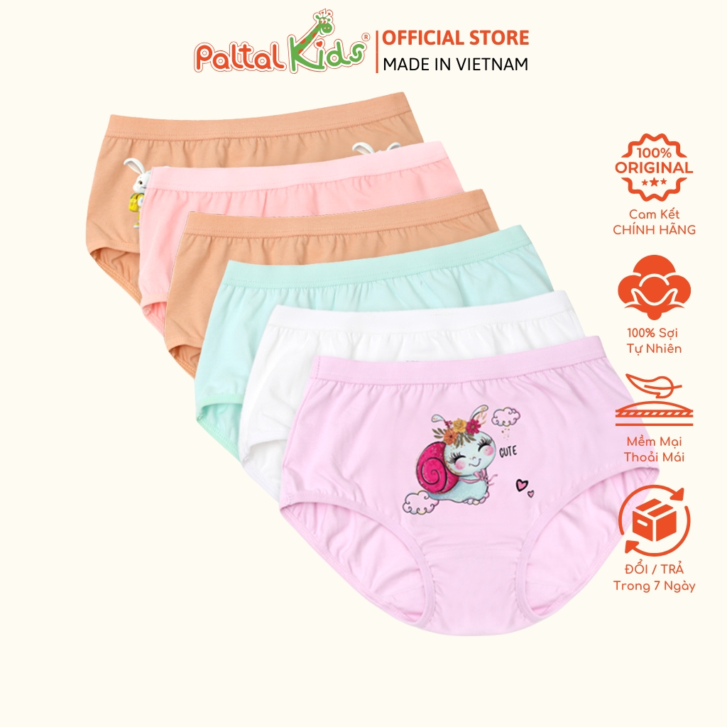 (CHE TÊN SẢN PHẨM) Combo 6 Quần Lót Cotton Ngẫu Nhiên Cao Cấp - 027 7341