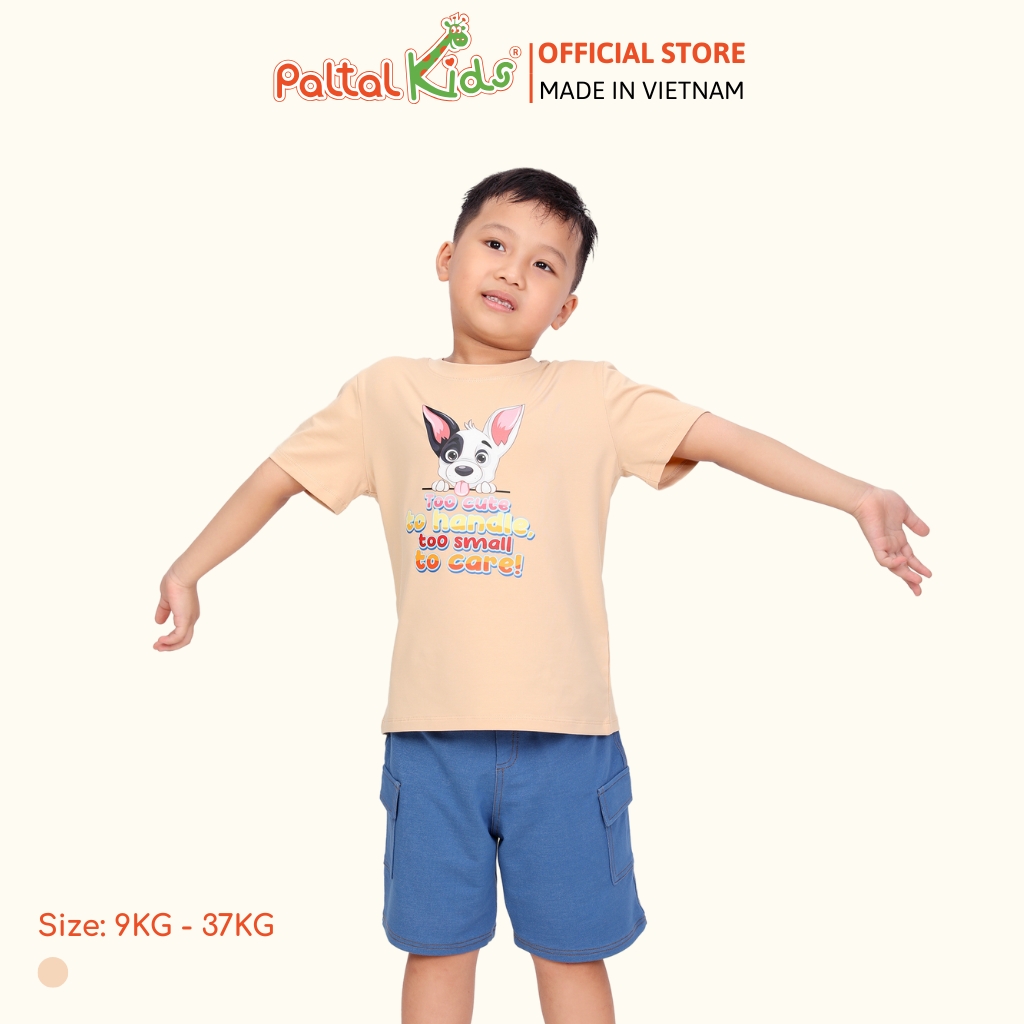 Áo Thun Cotton Mỹ Cao Cấp - 020 1392