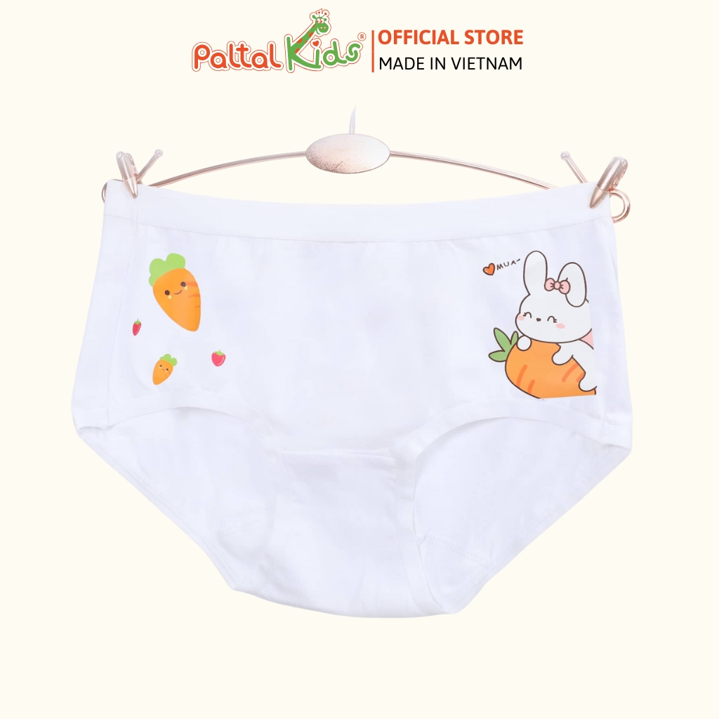 (CHE TÊN SẢN PHẨM) Combo 6 Quần Lót Cotton Hình In Ngẫu Nhiên Cao Cấp - 027 7277