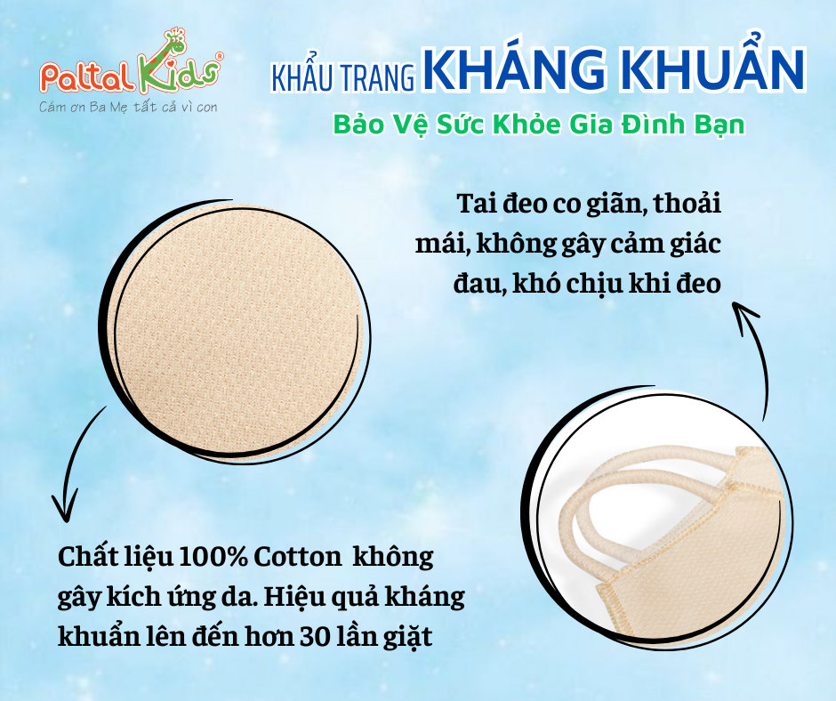 Combo 2 Cái Khẩu Trang Cao Cấp - 310 0104