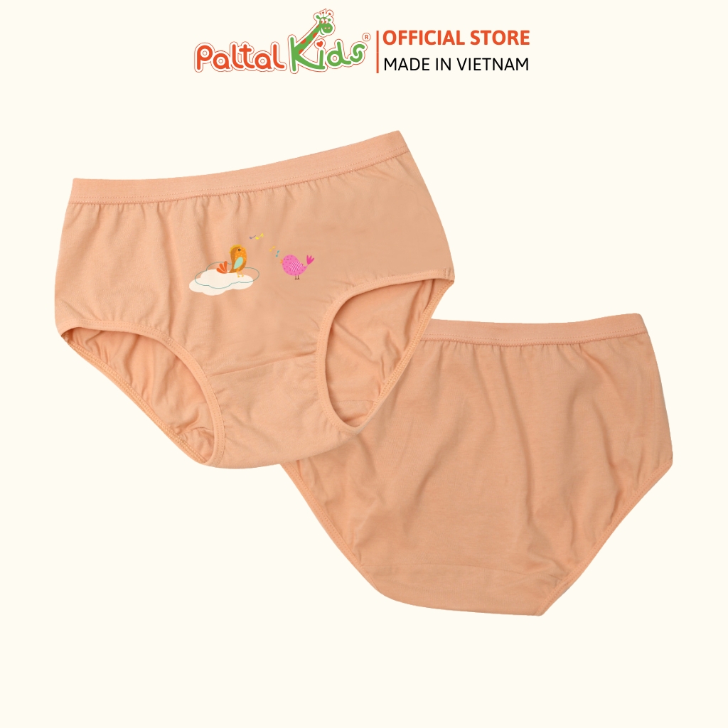 (CHE TÊN SẢN PHẨM) Combo 6 Quần Lót Cotton Ngẫu Nhiên Cao Cấp - 027 7341