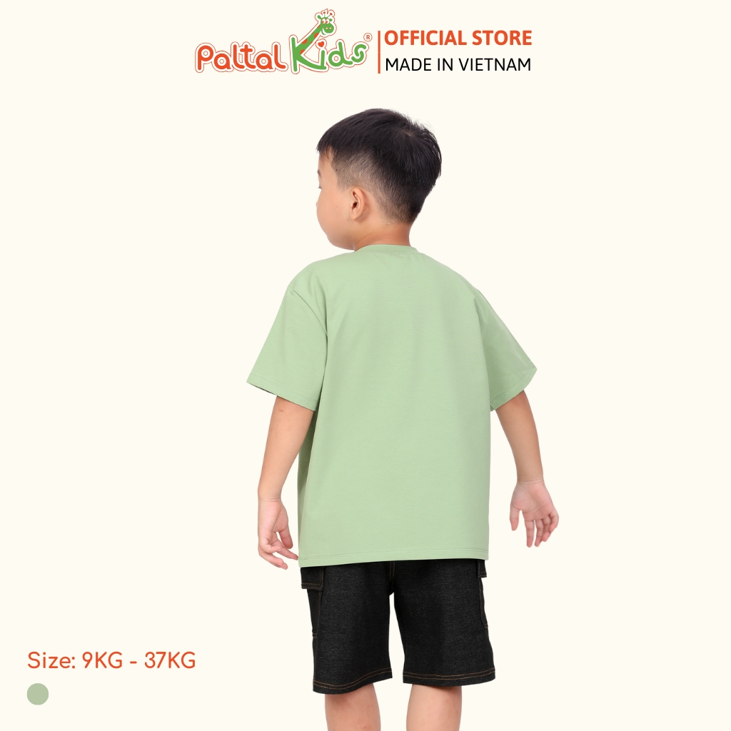 Áo Thun Cotton Mỹ Bé Trai Cao Cấp - 020 1399