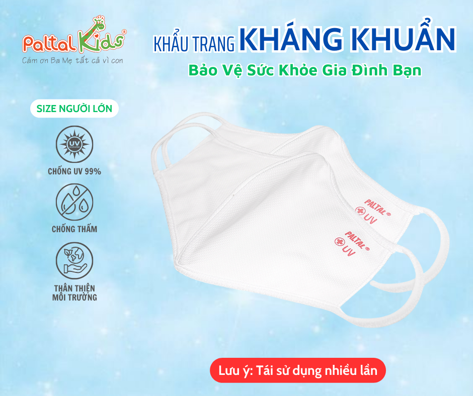 Combo 2 Cái Khẩu Trang Cao Cấp - 310 0008