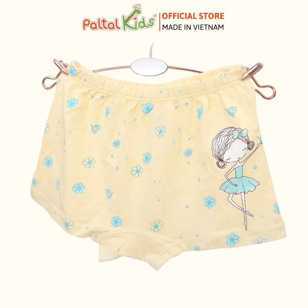 (CHE TÊN SẢN PHẨM) Combo 6 Quần Lót Cotton Ngẫu Nhiên Cao Cấp - 027 7304