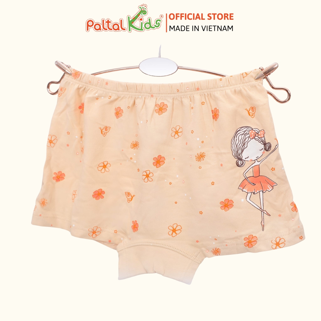 (CHE TÊN SẢN PHẨM) Combo 6 Quần Lót Cotton Ngẫu Nhiên Cao Cấp - 027 7304