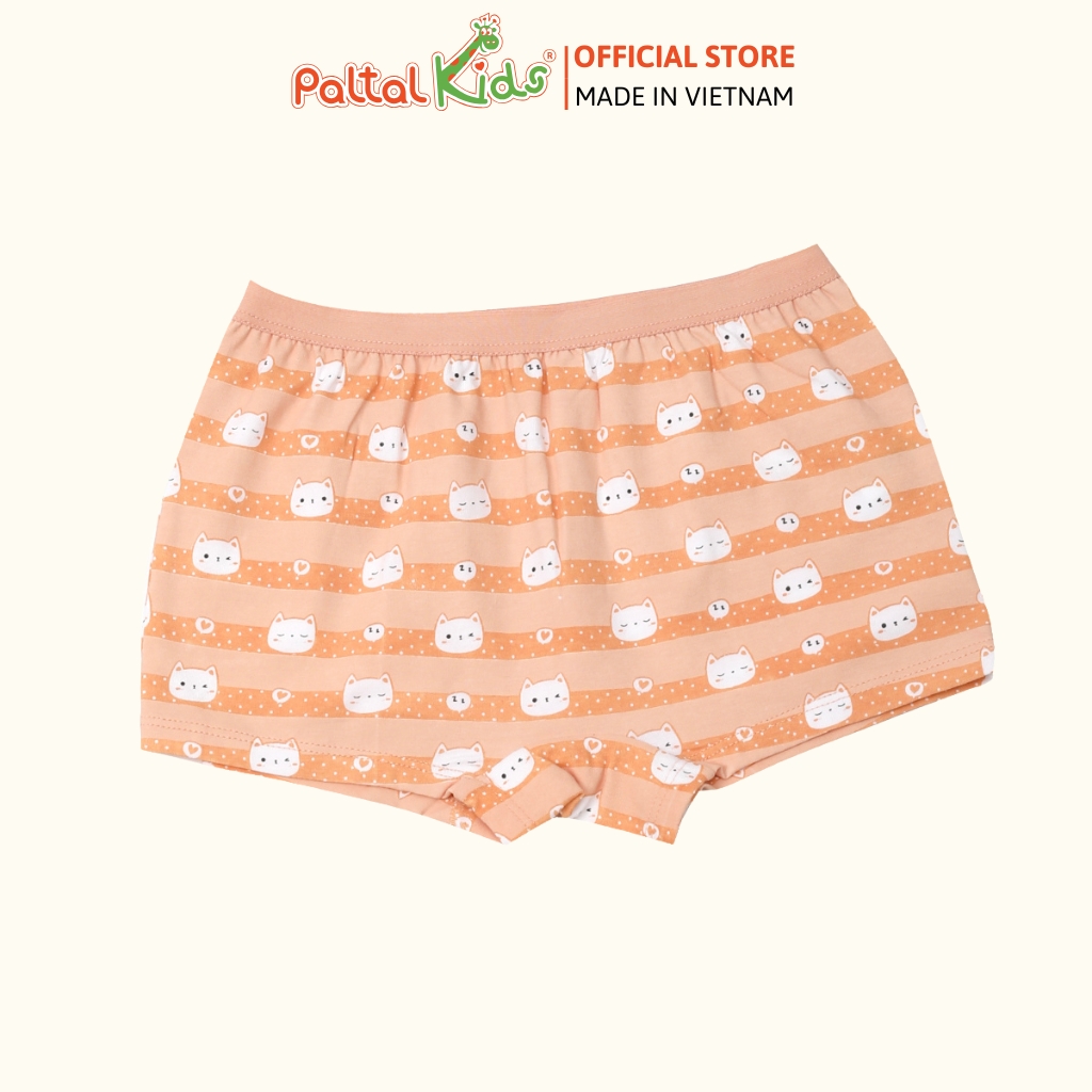 (CHE TÊN SẢN PHẨM) Combo 6 Quần Lót Cotton Ngẫu Nhiên Cao Cấp - 027 7339