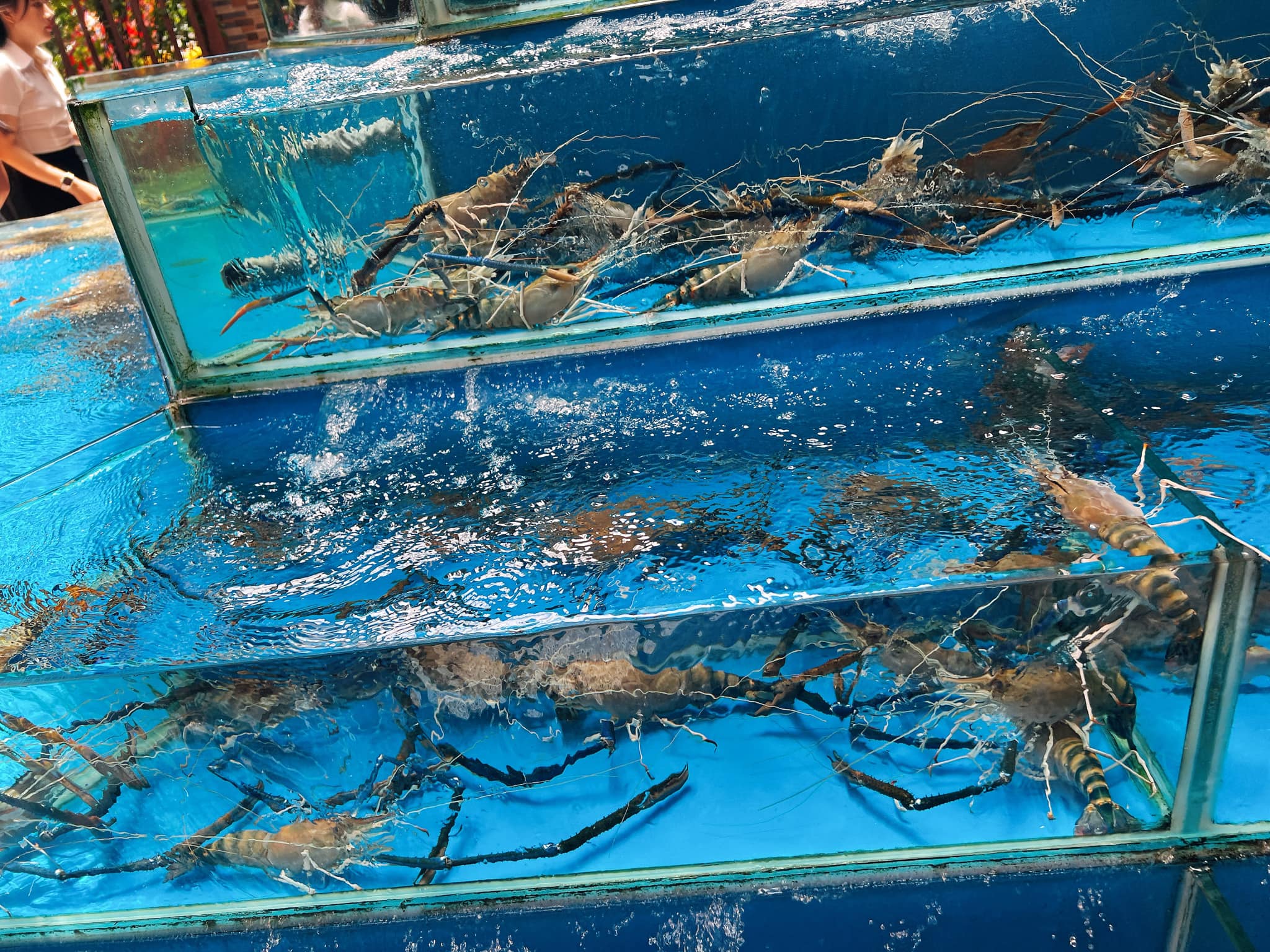 Nhà hàng Hàn Huyên - Số 2 Hồ Biểu Chánh, Quận Phú Nhuận