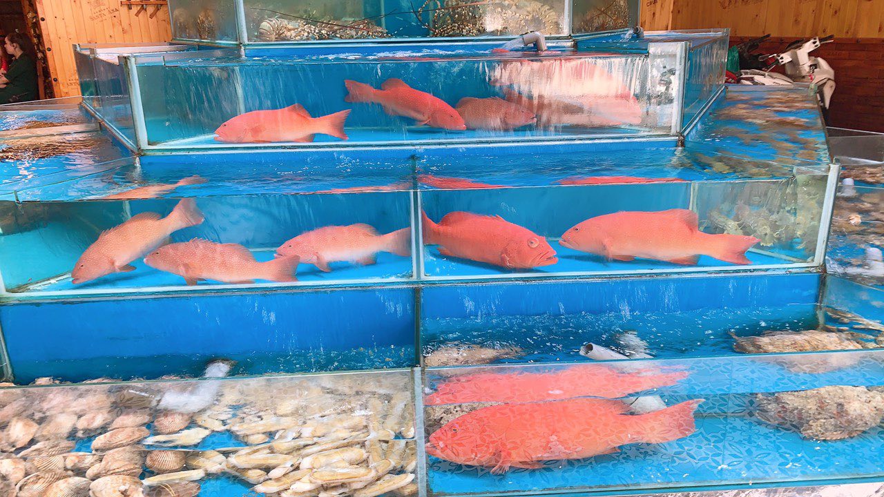 Nhà hàng Hàn Huyên - Số 2 Hồ Biểu Chánh, Quận Phú Nhuận