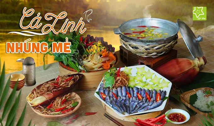 Khế Việt Restaurant - 15 Nguyễn Thị Diệu, Quận 3