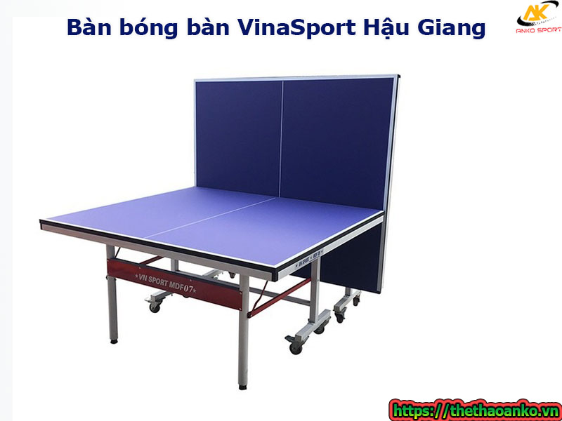 Bàn bóng bàn VinaSport Hậu Giang