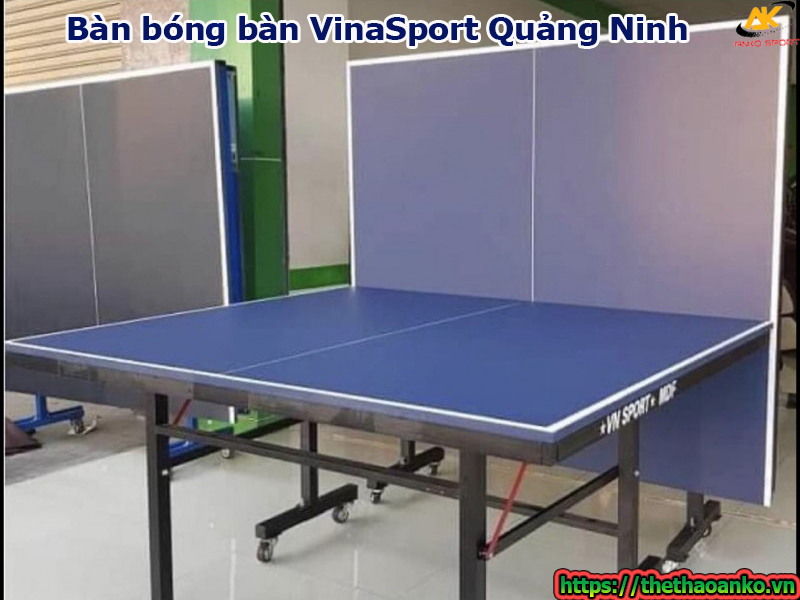 Bàn bóng bàn VinaSport Quảng Ninh