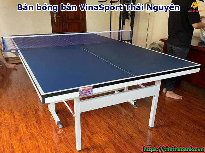 Bàn bóng bàn VinaSport Thái Nguyên