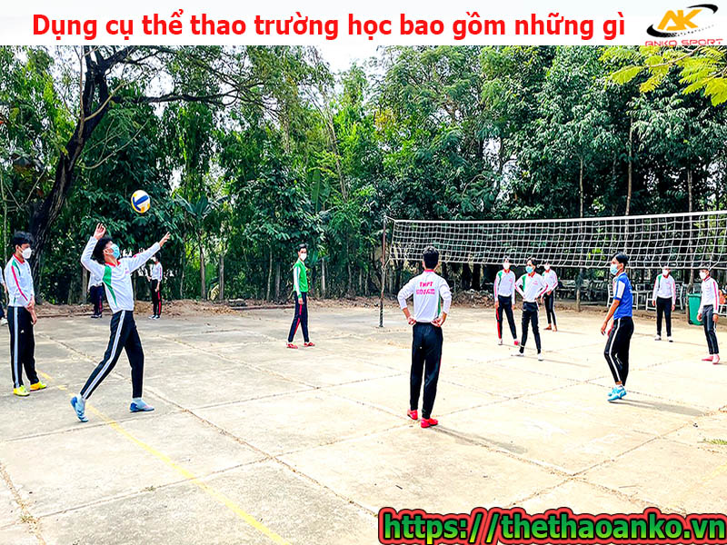 Dụng cụ thể thao trường học bao gồm những gì?