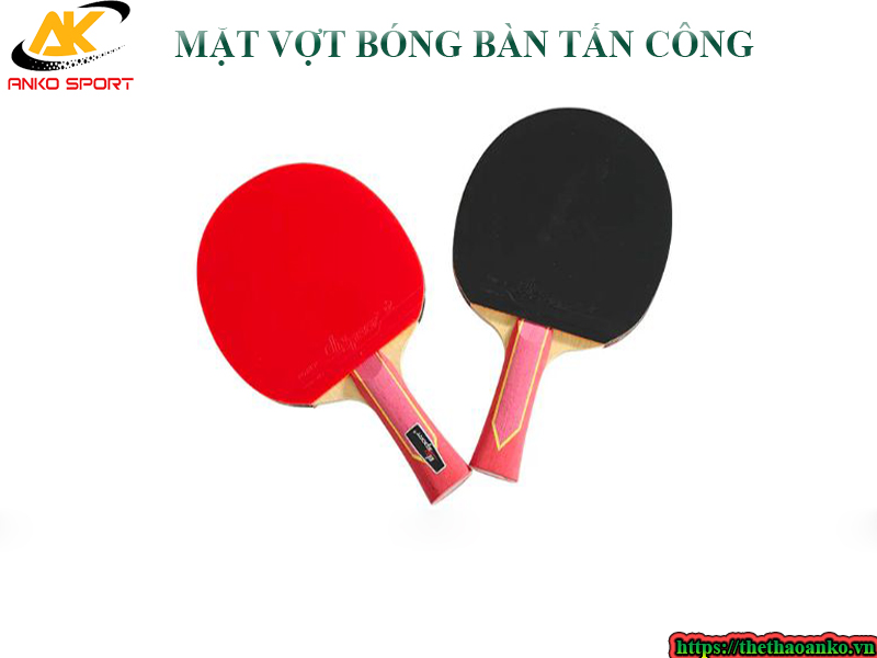 Mặt vợt bóng bàn tấn công giá rẻ tại Việt Nam