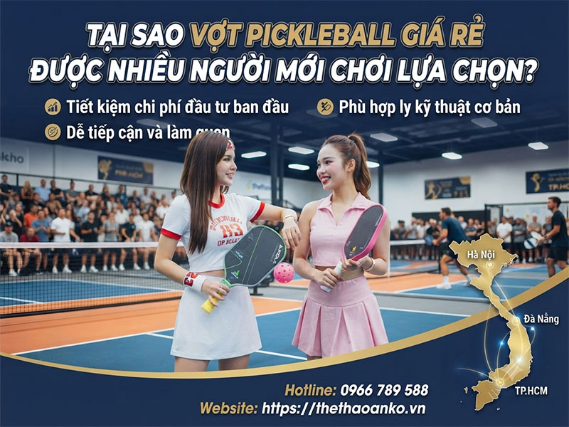 Tại sao vợt pickleball giá rẻ được nhiều người mới chơi lựa chọn?