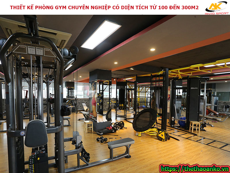 Thiết kế phòng gym chuyên nghiệp có diện tích từ 100m2 đến 300m2