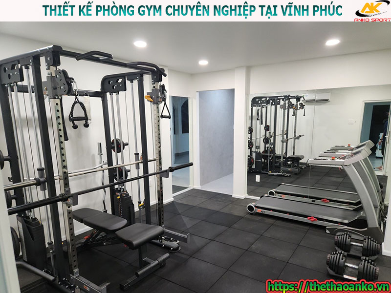 Thiết kế, thi công, cung cấp và lắp đặt thiết bị phòng gym tại Vĩnh Phúc