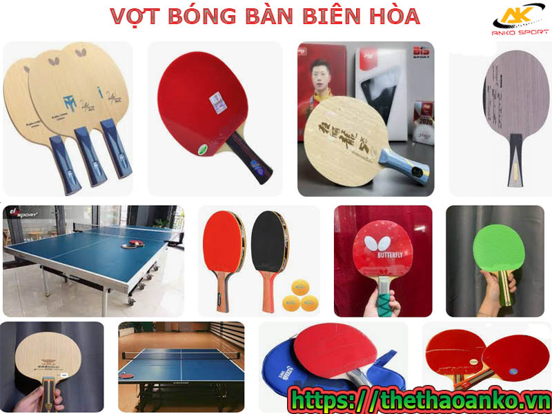 VỢT BÓNG BÀN BIÊN HÒA MUA ONLINE Ở ĐÂU GIÁ RẺ