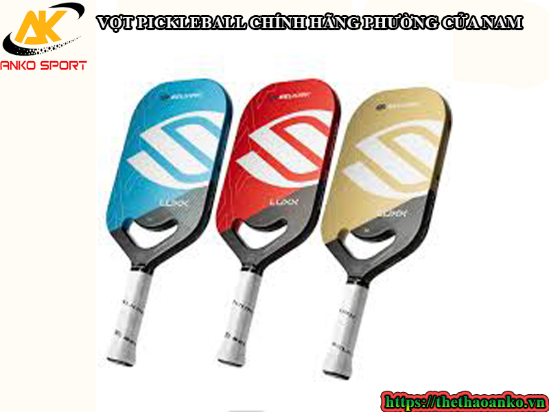 VỢT PICKLEBALL CHÍNH HÃNG PHƯỜNG CỬA NAM 1