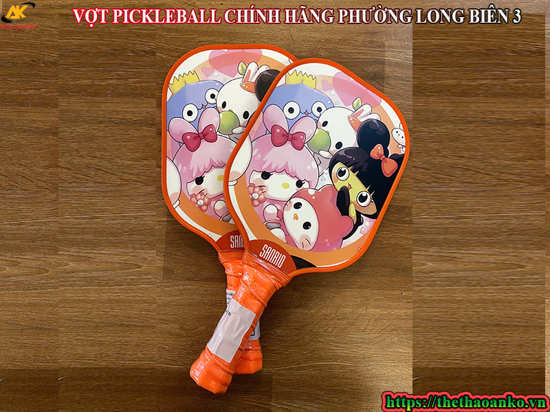 VỢT PICKLEBALL CHÍNH HÃNG PHƯỜNG LONG BIÊN 3