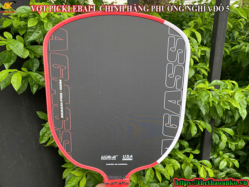 VỢT PICKLEBALL CHÍNH HÃNG PHƯỜNG NGHĨA ĐÔ 5