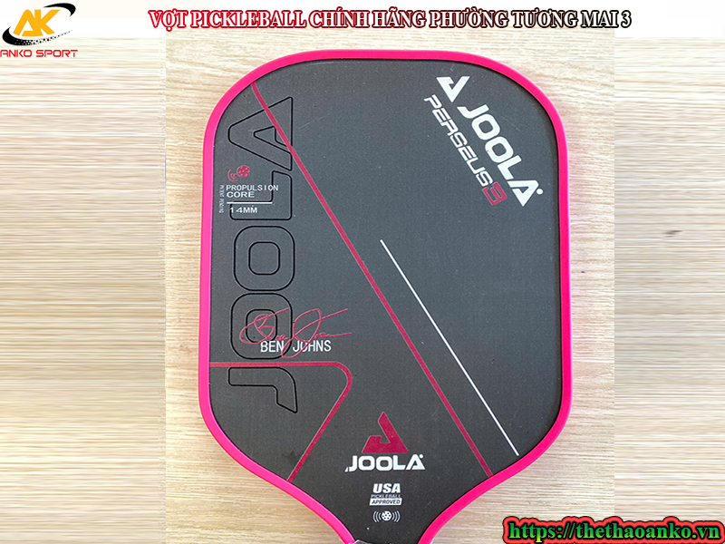 VỢT PICKLEBALL CHÍNH HÃNG PHƯỜNG TƯƠNG MAI 3