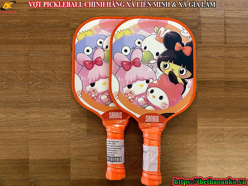 VỢT PICKLEBALL CHÍNH HÃNG XÃ LIÊN MINH & XÃ GIA LÂM