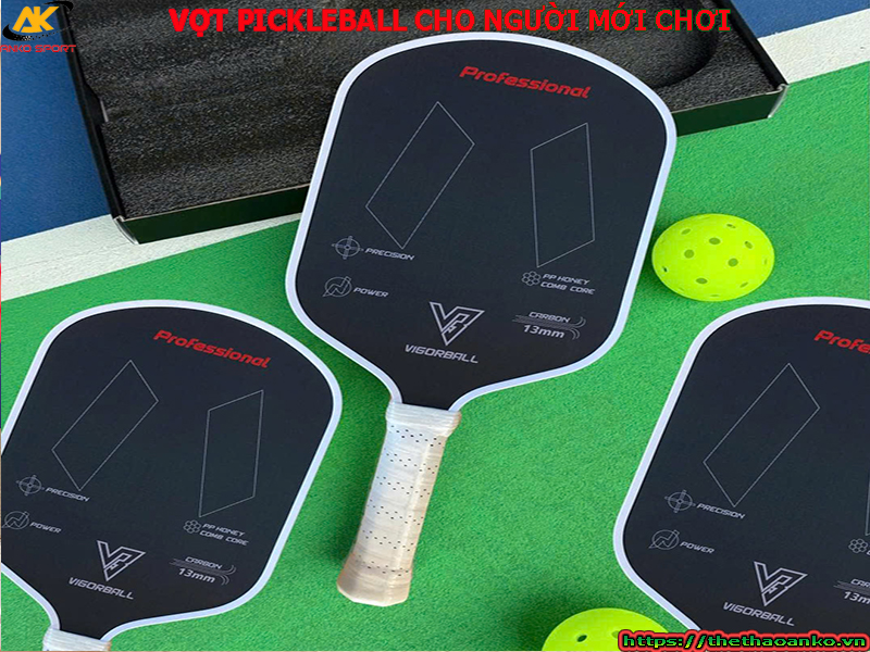 VỢT PICKLEBALL CHO NGƯỜI MỚI CHƠI TẠI HẢI PHÒNG