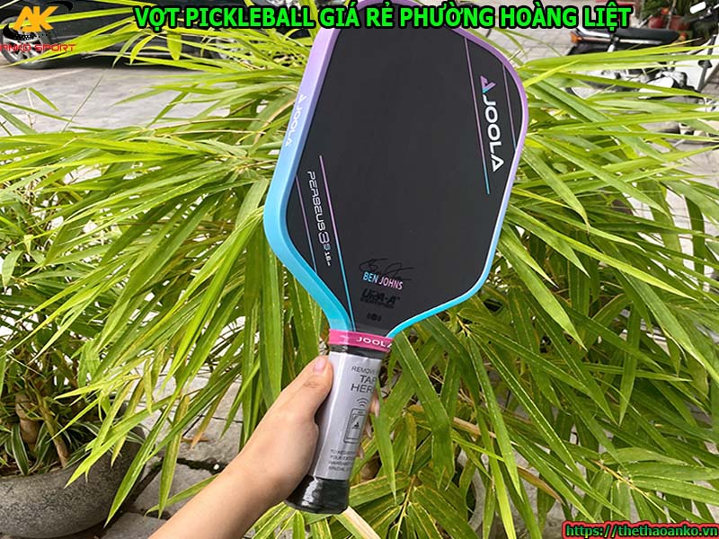 Vợt pickleball giá rẻ Phường Hoàng Liệt