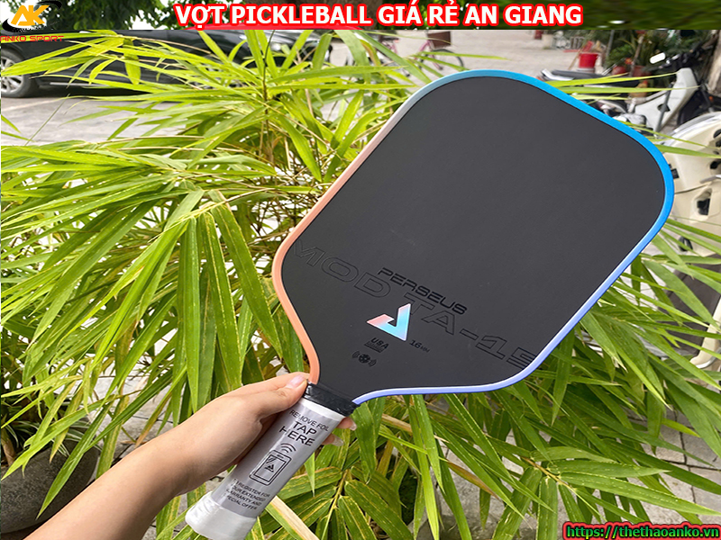 Vợt pickleball giá rẻ tại An Giang