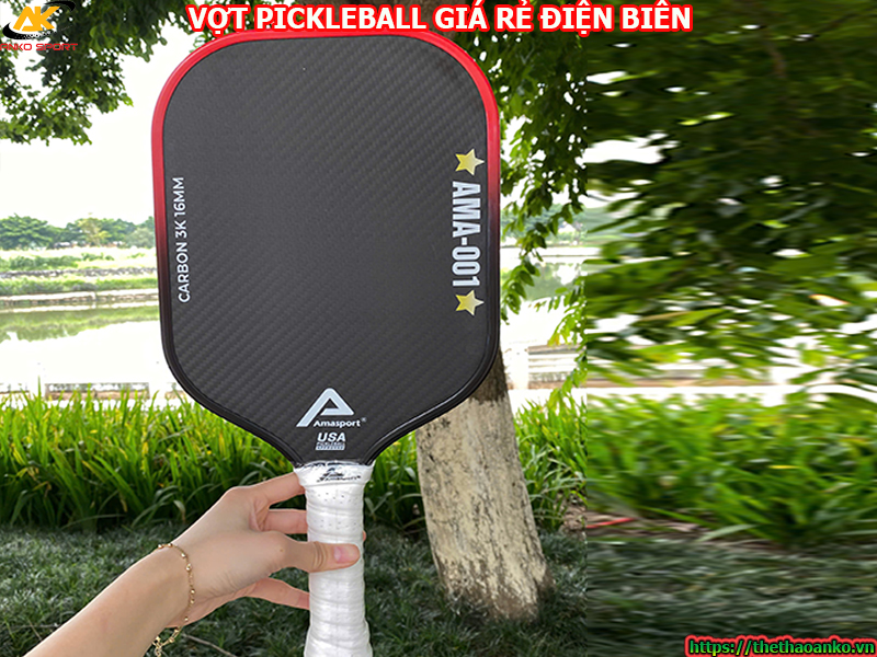 Vợt pickleball giá rẻ tại Điện Biên