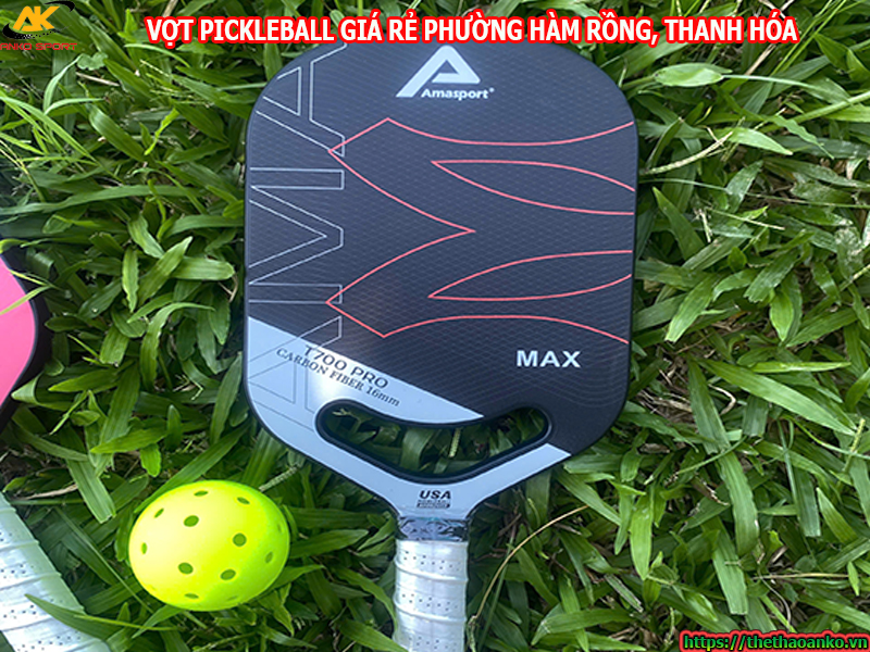 Vợt pickleball giá rẻ tại Phường Hàm Rồng