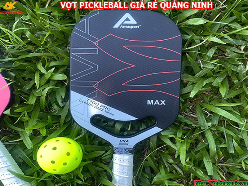 Vợt pickleball giá rẻ tại Hạ Long