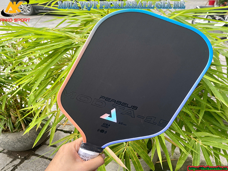 VỢT PICKLEBALL GIÁ RẺ TẠI VIỆT NAM 2