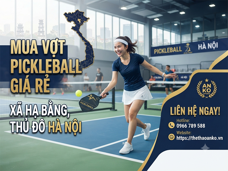 Vợt pickleball giá rẻ Xã Hạ Bằng