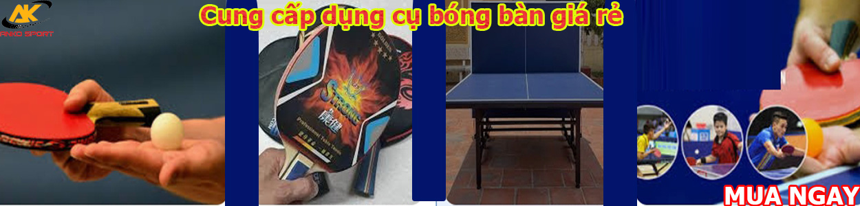 Dụng cụ bóng bàn