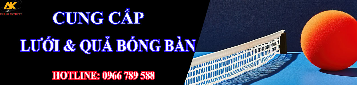 Lưới và quả bóng bàn