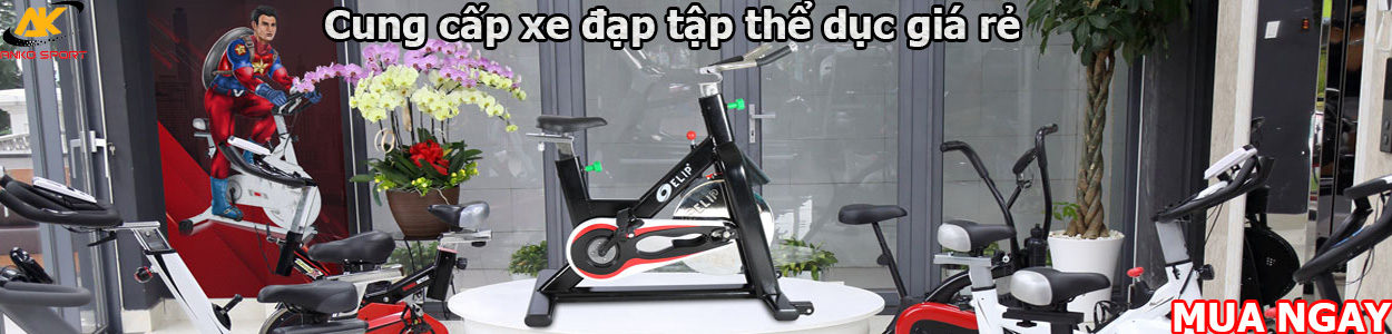 Xe đạp tập thể dục