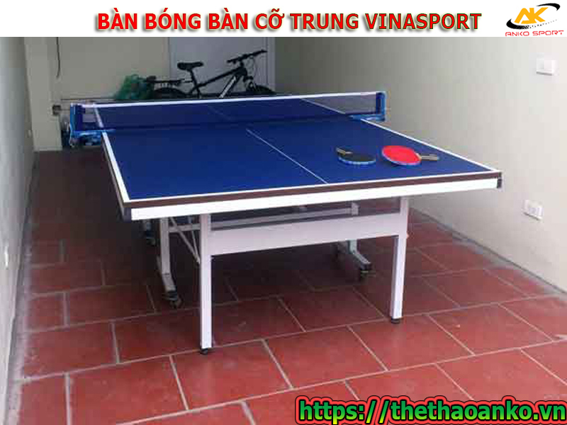 Bàn bóng bàn cỡ trung Vinasport