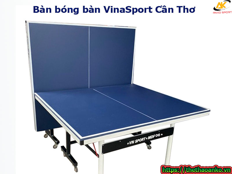 ban-bong-ban-vinasport-tai-can-tho