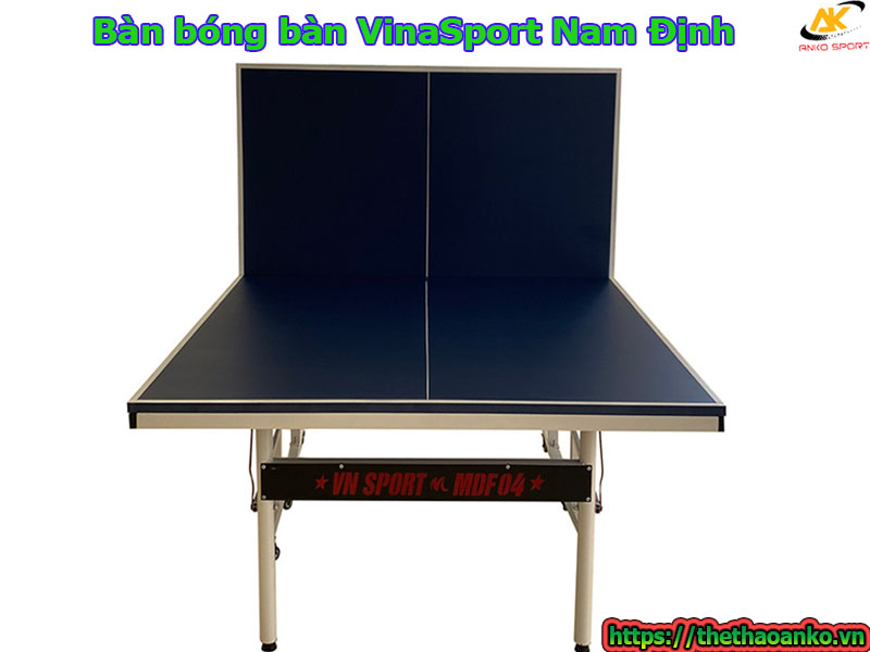 ban-bong-ban-vinasport-tai-nam-dinh