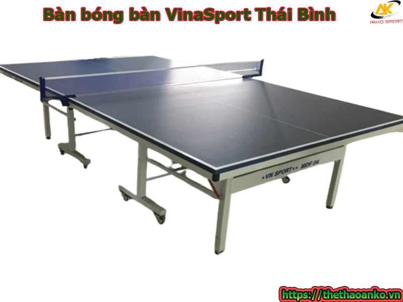 ban-bong-ban-vinasport-tai-thai-binh