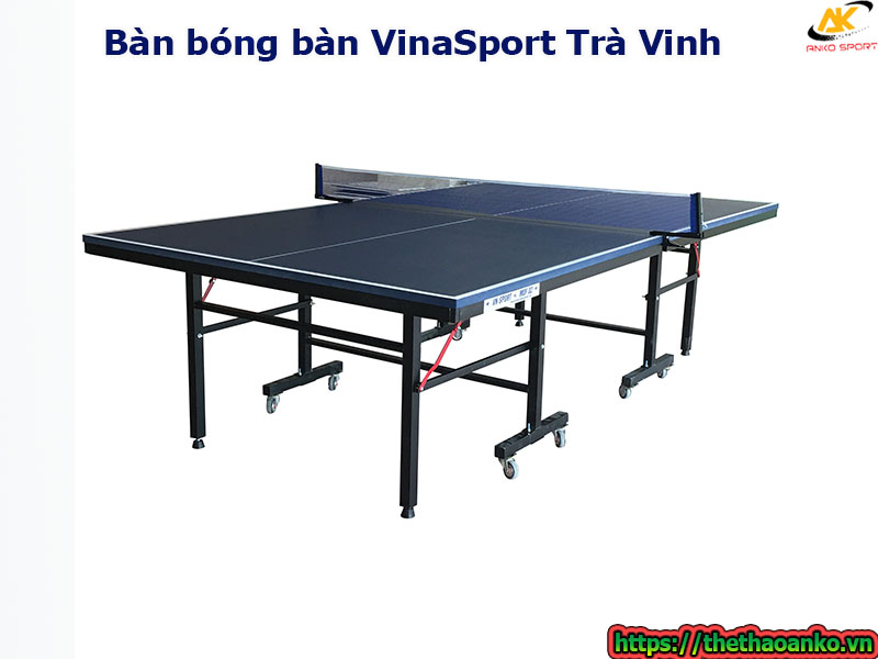ban-bong-ban-vinasport-tai-tra-vinh