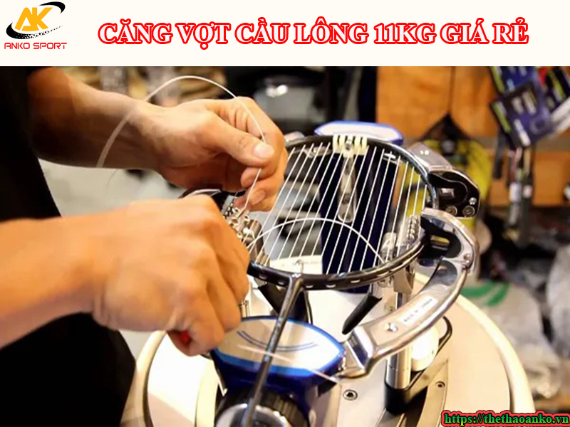 cang-vot-cau-long-titan-11kg-bao-nhieu-tien-quan-ha-dong-ha-noi.jpg