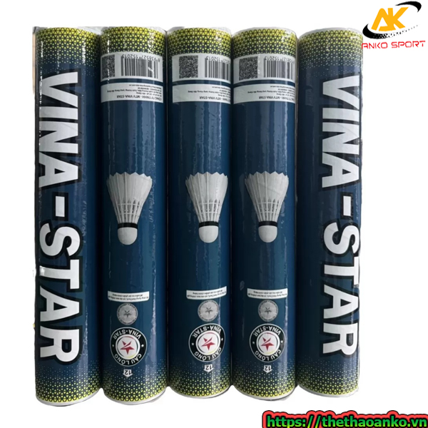 cau-vinastar-loai-1-ha-noi-hai-phong-da-nang-hue-can-tho-tphcm cau-vinastar-loai-1-ha-noi-hai-phong-da-nang-hue-can-tho-tphcm