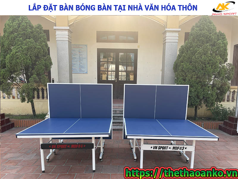 du-an-ban-bong-ban-tai-nha-van-hoa-thon-dai-lo-ninh-so-thuong-tin-ha-noi-9