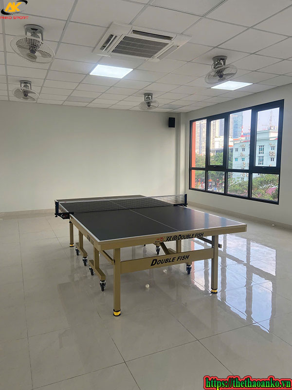 du-an-lap-dat-va-cung-cap-dung-cu-bong-ban-cho-truong-hoc-tai-hai-phong-2