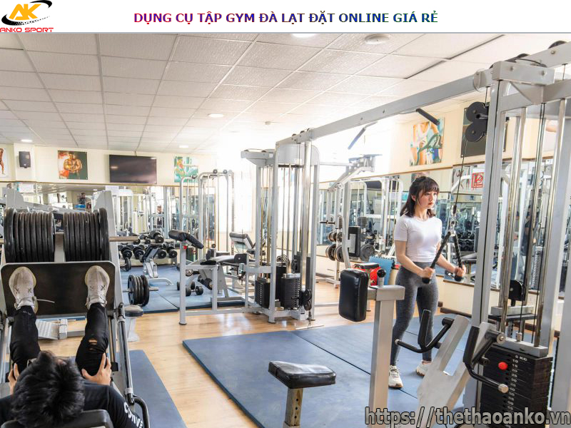 dung-cu-tap-gym-da-lat-dat-online-gia-re